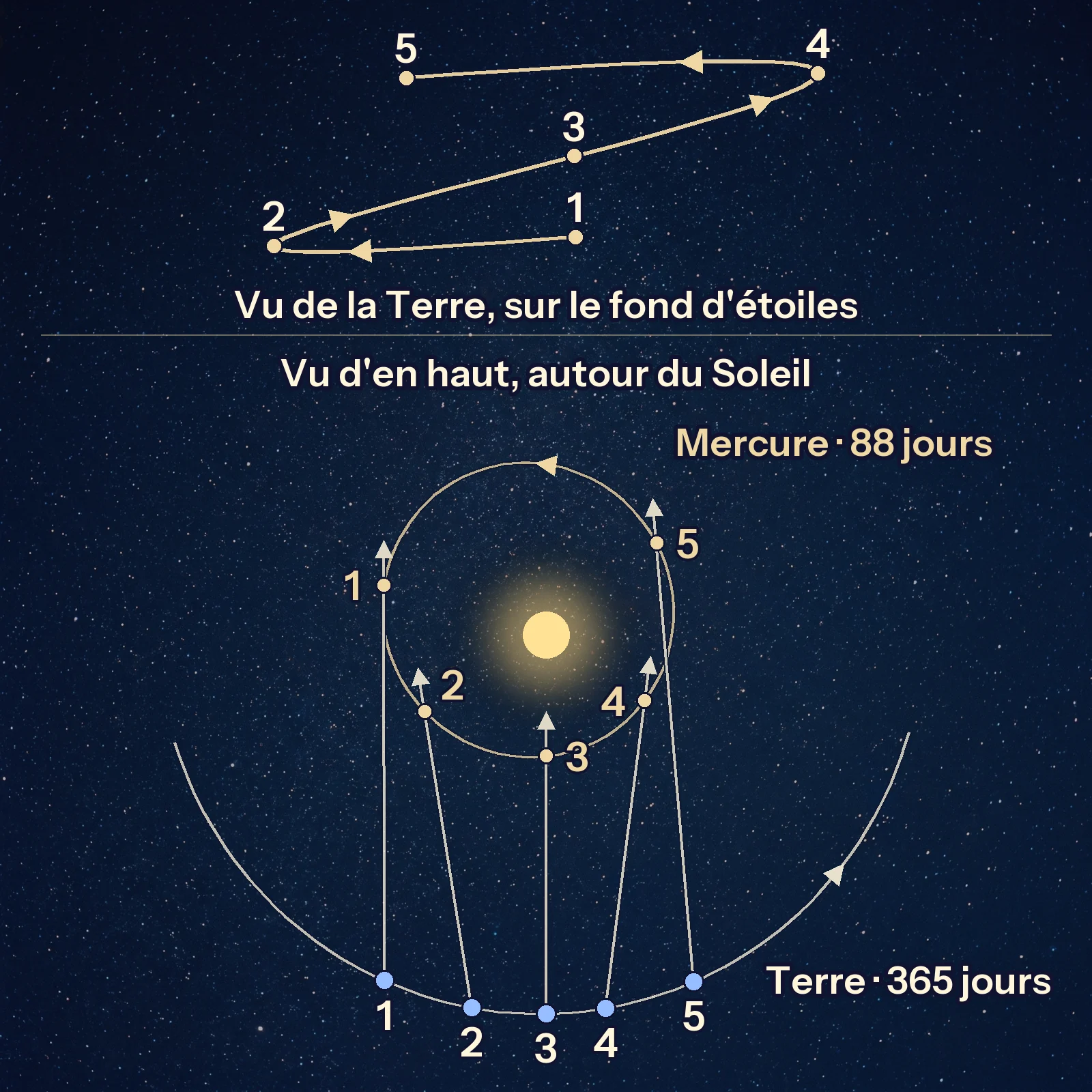 En haut, le chemin de Mercure parmi les étoiles, du 10 octobre au 27 novembre 2026, dessine un Z : elle avance vers la gauche, recule vers la droite du 24 octobre au 13 novembre, puis repart. En bas, une vue de dessus : la Terre et Mercure tournent autour du Soleil ; à cinq dates, les mêmes que sur le chemin du haut, une flèche part de la Terre vers Mercure. Le 4 novembre, Mercure passe entre la Terre et le Soleil.
